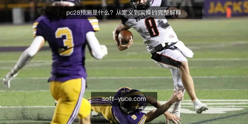 pc28预测是什么？从定义到实操的完整解释 — 准备：明确观察对象与数据来源 配图
