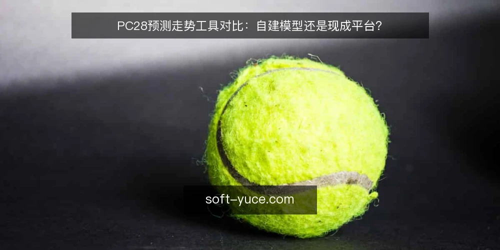 PC28预测走势工具对比:自建模型还是现成平台? — 决策标准:先想清楚这三个问题 配图